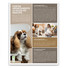 Calendario illustrato cani e gatti 2025 retro