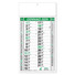 Calendario olandese 2026 trimensile verde