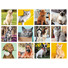 Calendario silhouette illustrato cani e gatti 2025 mensiletti
