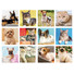 Calendario silhouette illustrato cani e gatti 2026 mensiletti