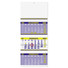 Calendario trittico fluo 2025 giallo