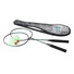 Gioco Badminton