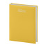 Agenda 2026 giornaliera 12x17 giallo