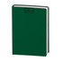Maxi agenda 2026 giornaliera verde
