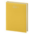 Agenda 2027 giornaliera 12x17 giallo