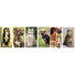 Calendario illustrato cani e gatti 2027 dettaglio 1