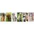 Calendario illustrato cani e gatti 2027 dettaglio 2
