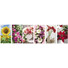 Calendario illustrato fiori 2027 dettaglio 2