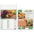 Calendario illustrato fruttivendolo frutta e verdura 2027 dettaglio 3