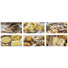 Calendario illustrato pane e pasta 2027 dettaglio 2