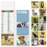 Calendario silhouette illustrato cani e gatti 2027 dettaglio 1