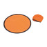 frisbee